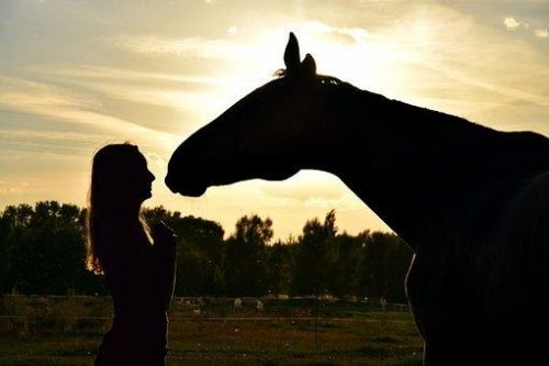 A girl and a horse